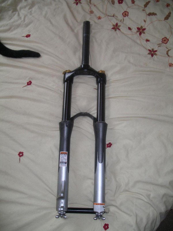 pbpic3771003.jpg