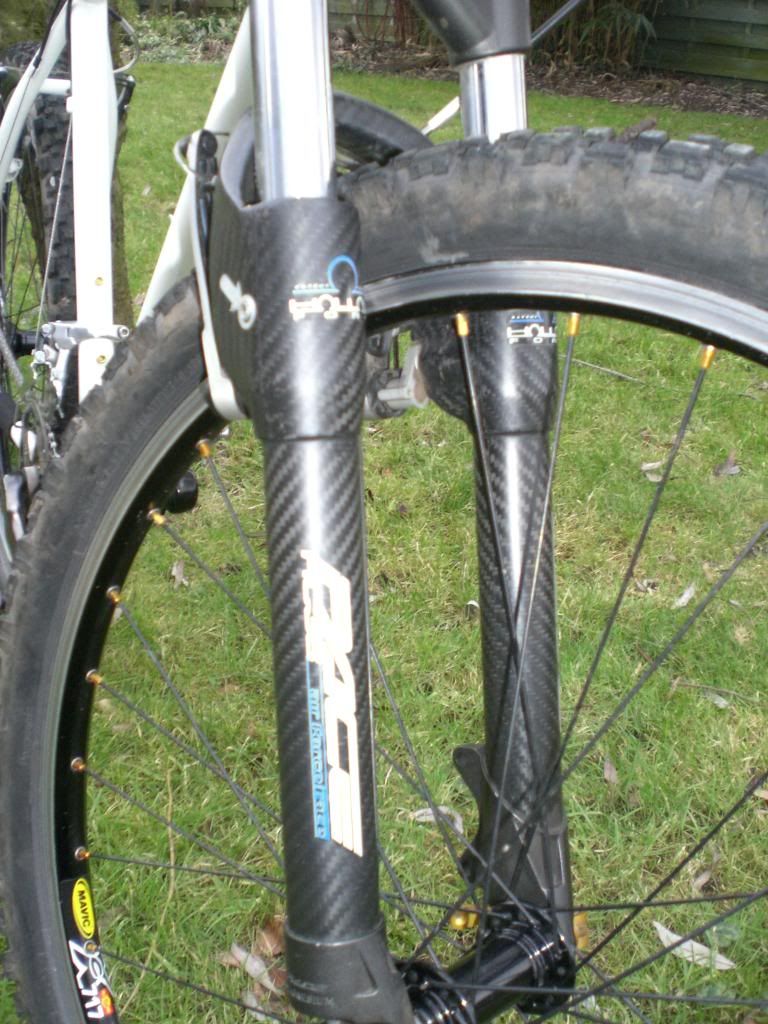 brandscortinacatsgrandbornandbikes127.jpg