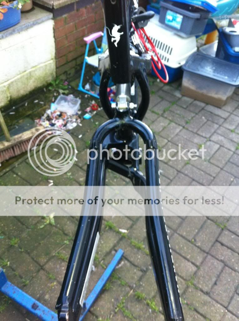 IMG_0468_zps81f139aa.jpg