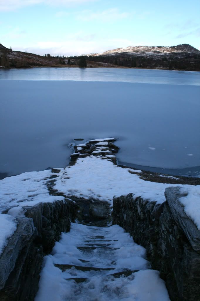 IMG_2590.jpg