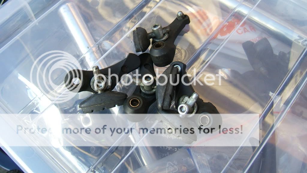 DSCF1599.jpg