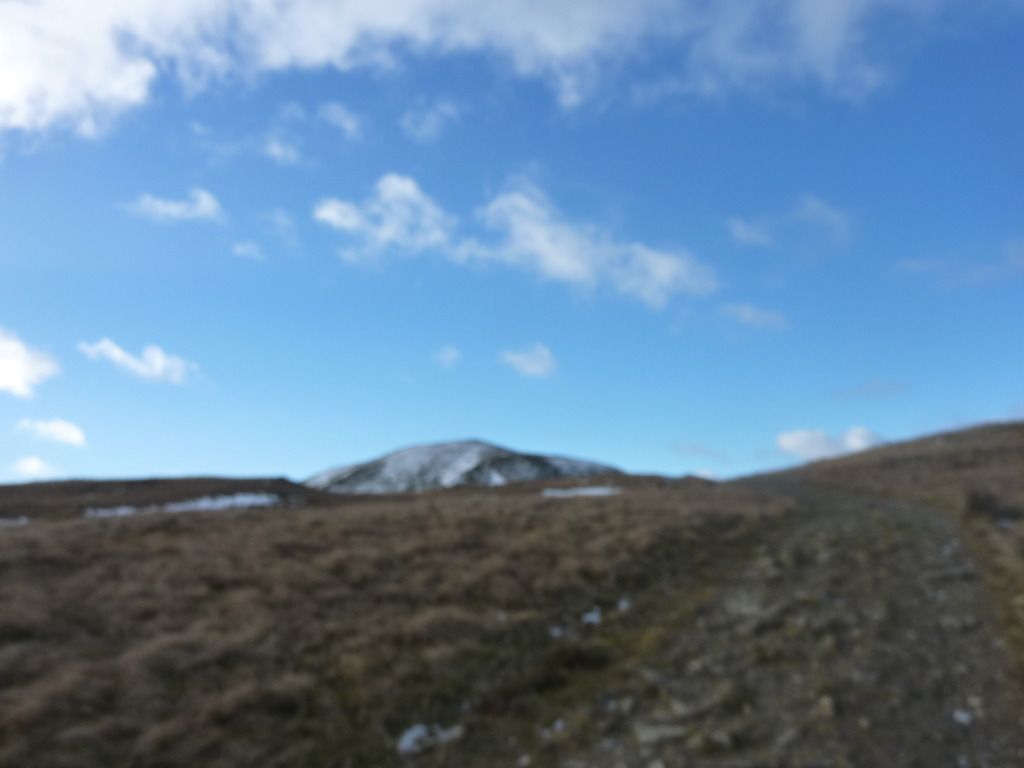 P1050033.jpg