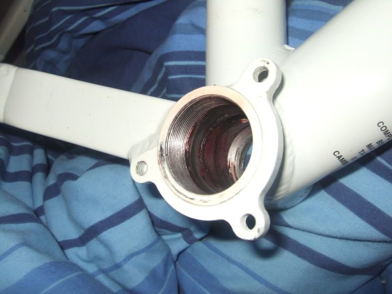 sierracageprep2009022.jpg