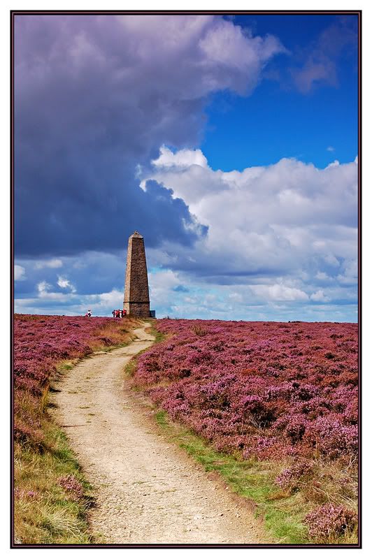 roseberry-moors18.jpg