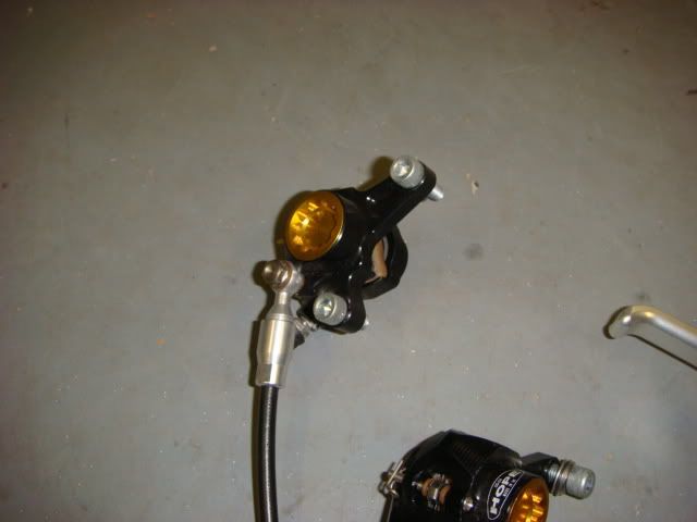DSC01284.jpg