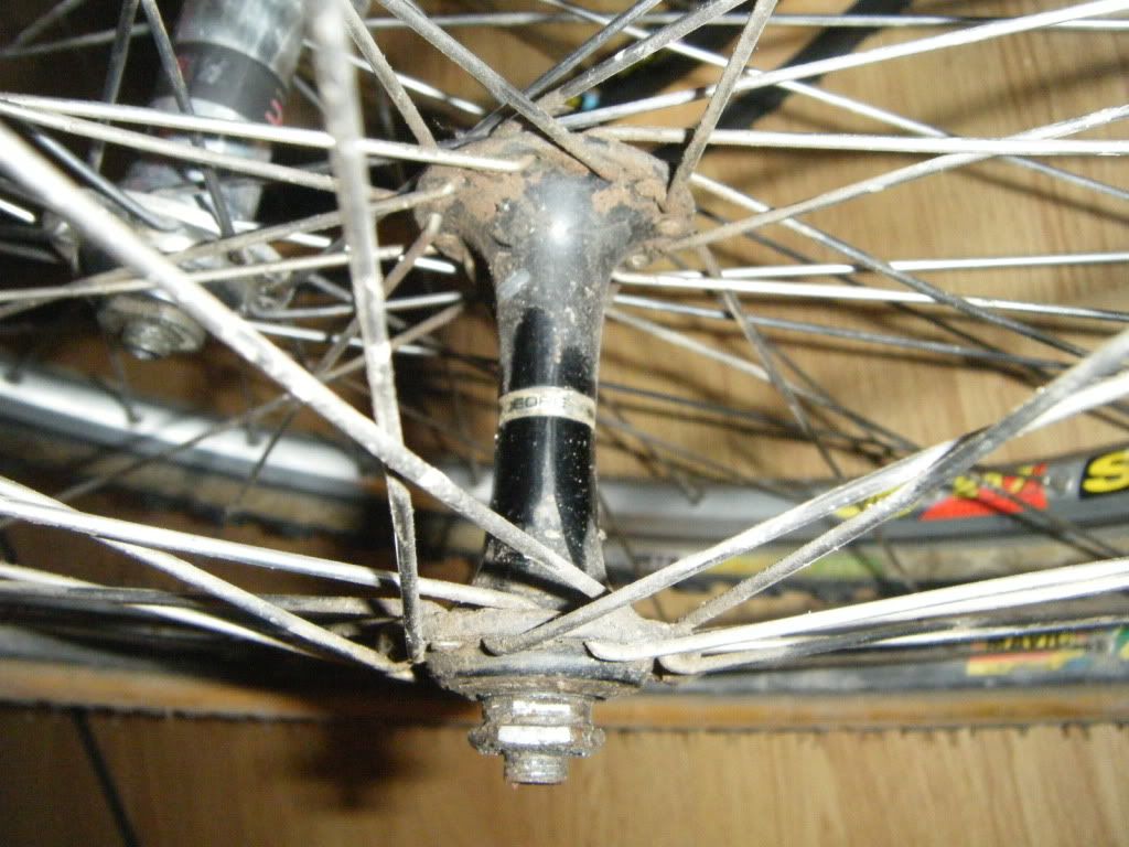 dscf2495.jpg