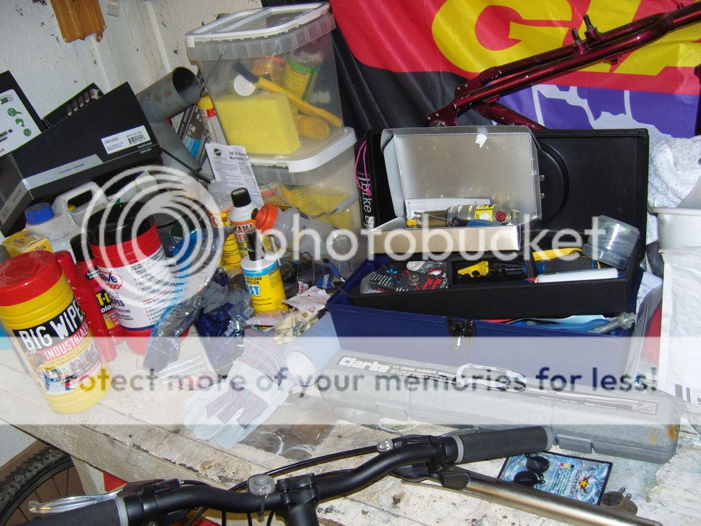 SNV80587.jpg