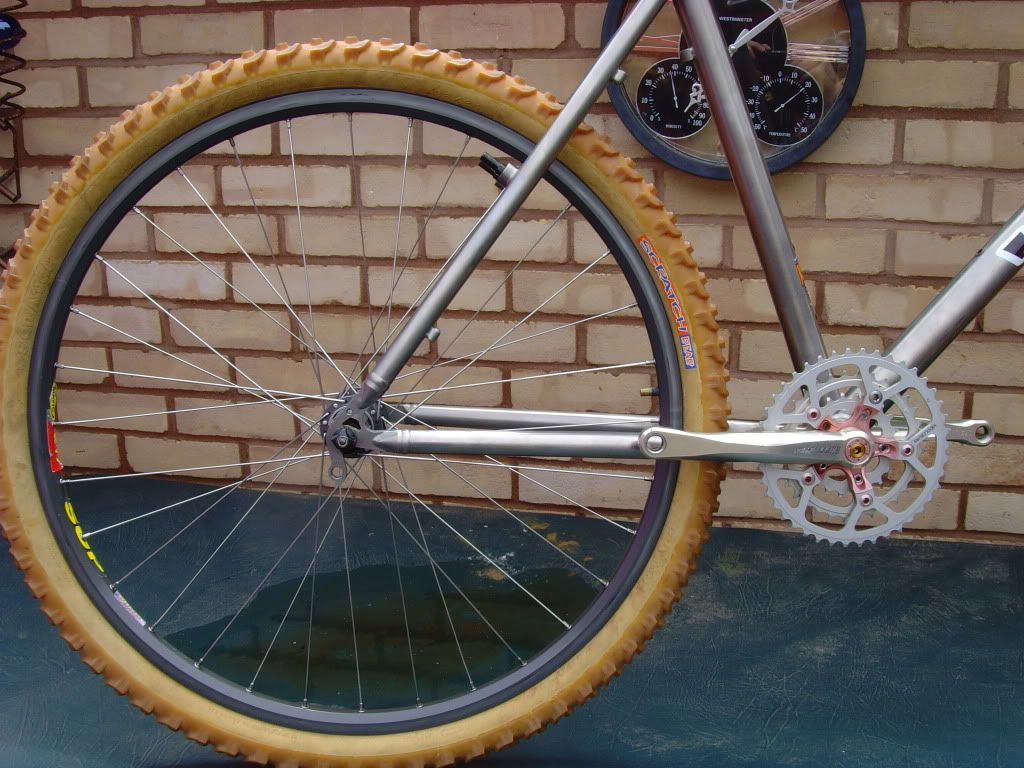 SNV35330.jpg