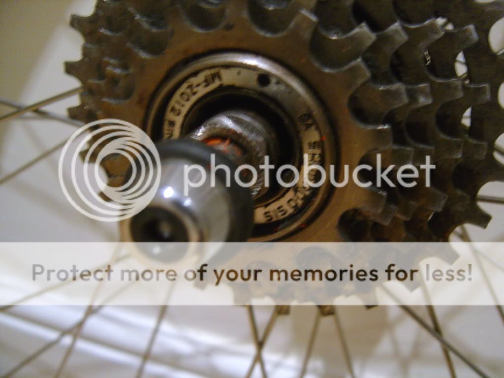 wheels4.jpg