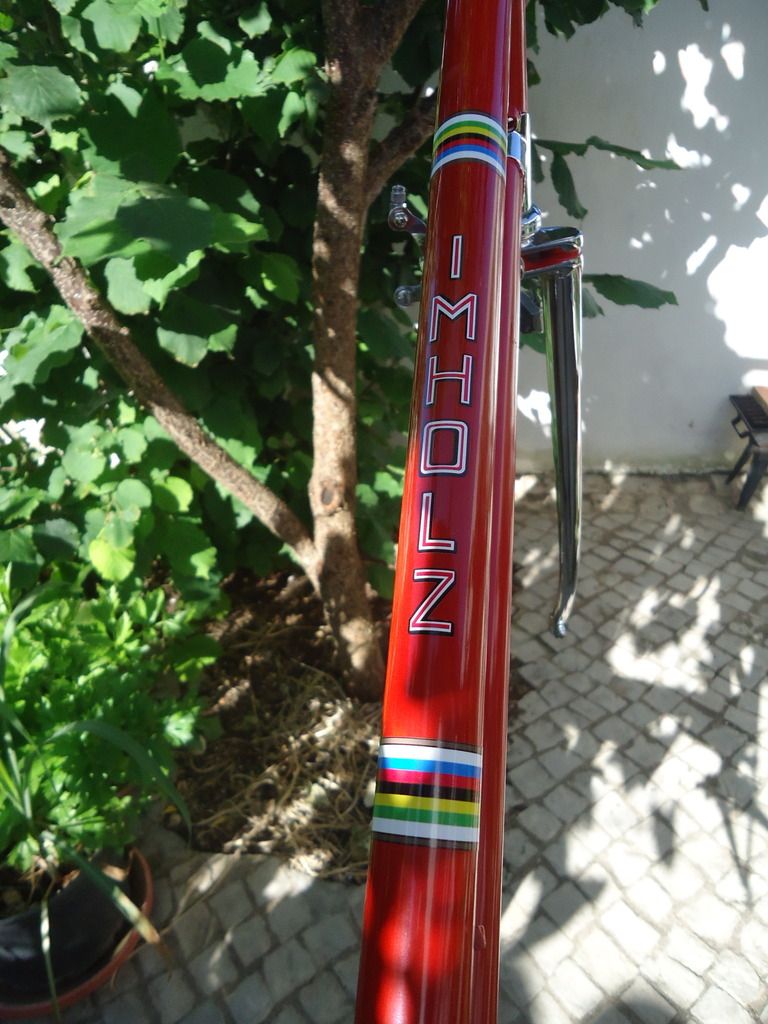 DSC04520.jpg