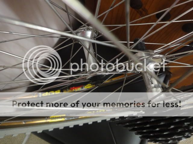 DSC01284.jpg