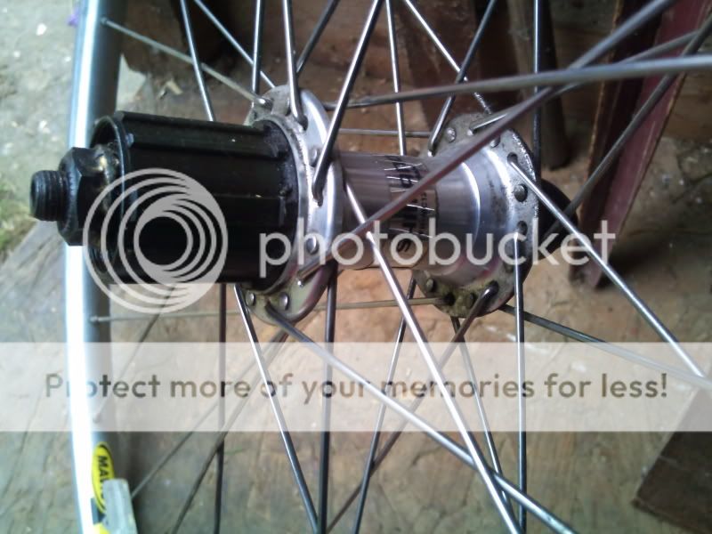 2011-03-17160858.jpg
