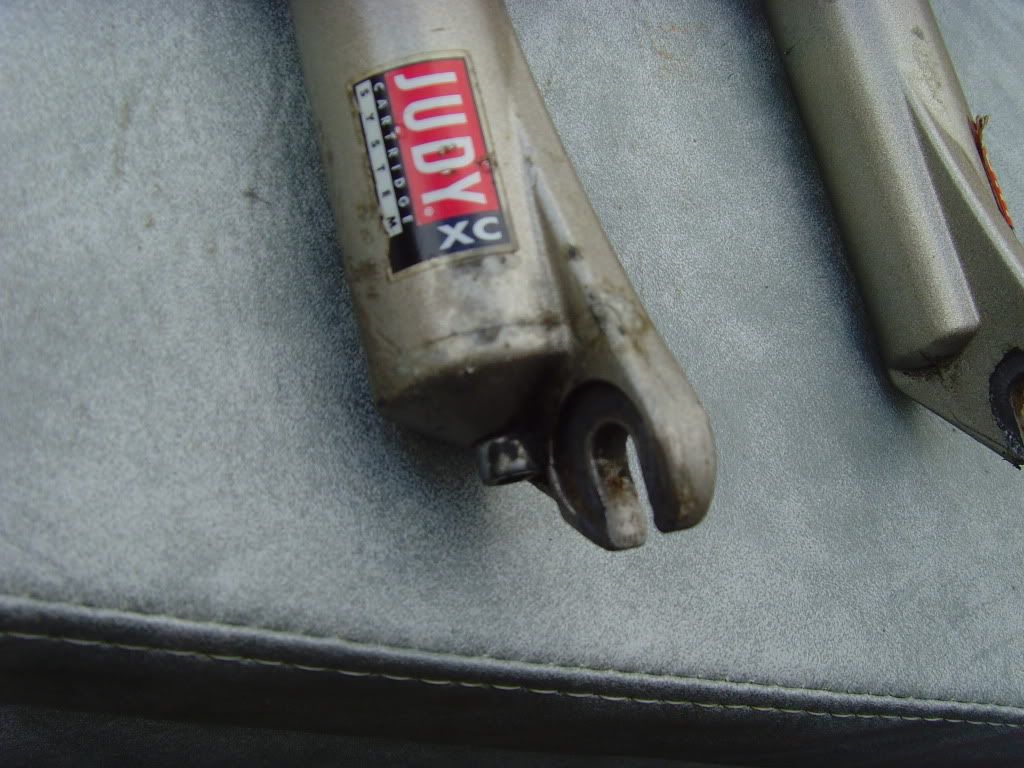 SNV36459.jpg