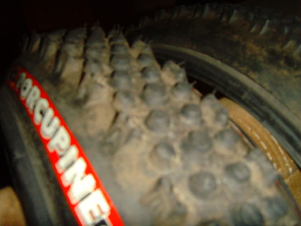 SNV36390.jpg