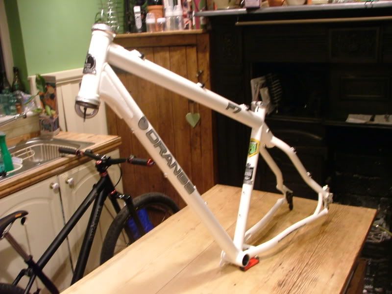 DSCF7248.jpg