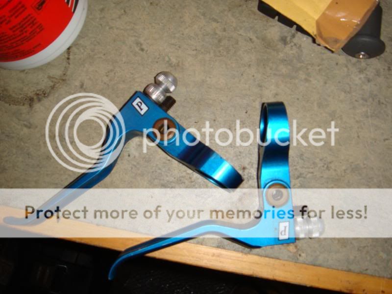 DSC00728.jpg