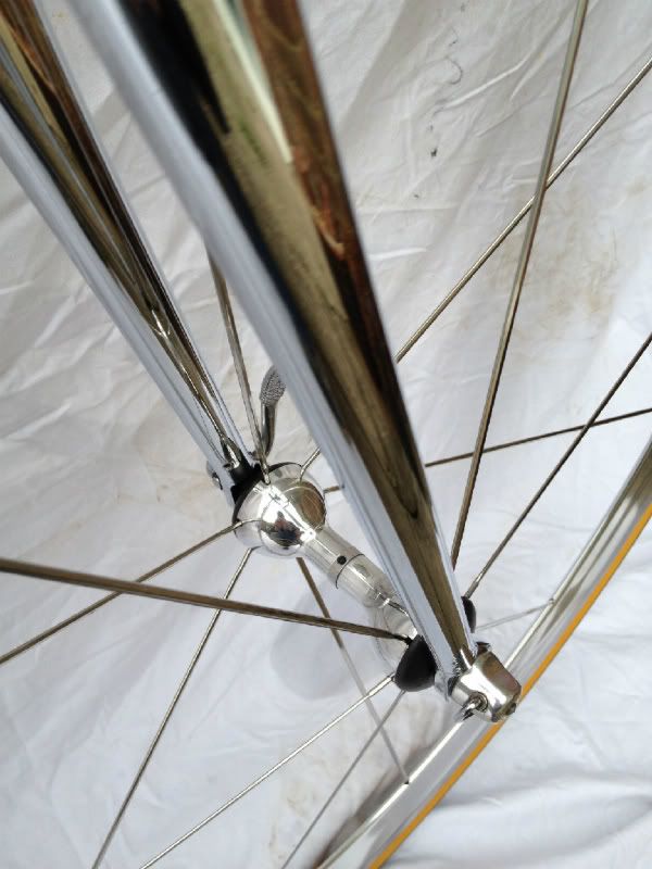 mycolnago024.jpg