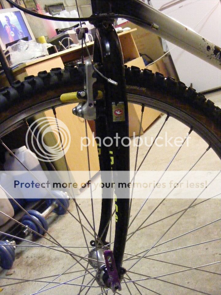 2011_0110gitane0011.jpg