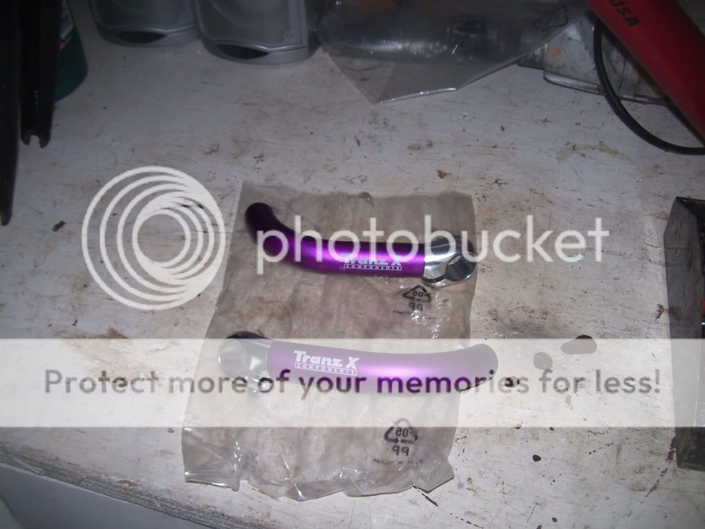100_5484.jpg