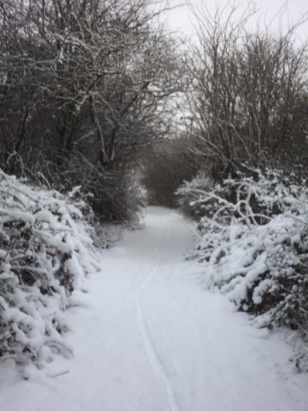 trailsinsnow2010002.jpg