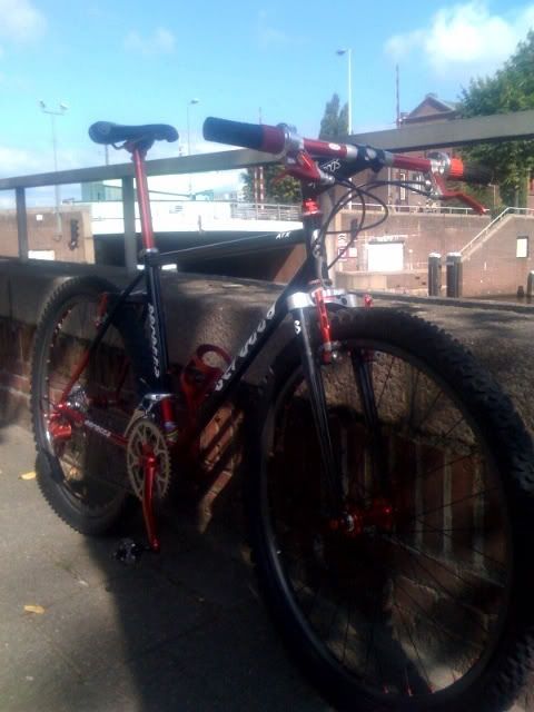 Serotta3-2.jpg