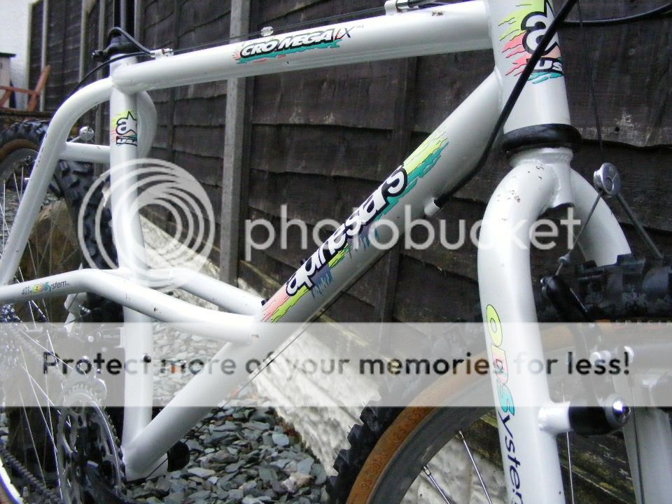 2010_1120lx0033-1.jpg