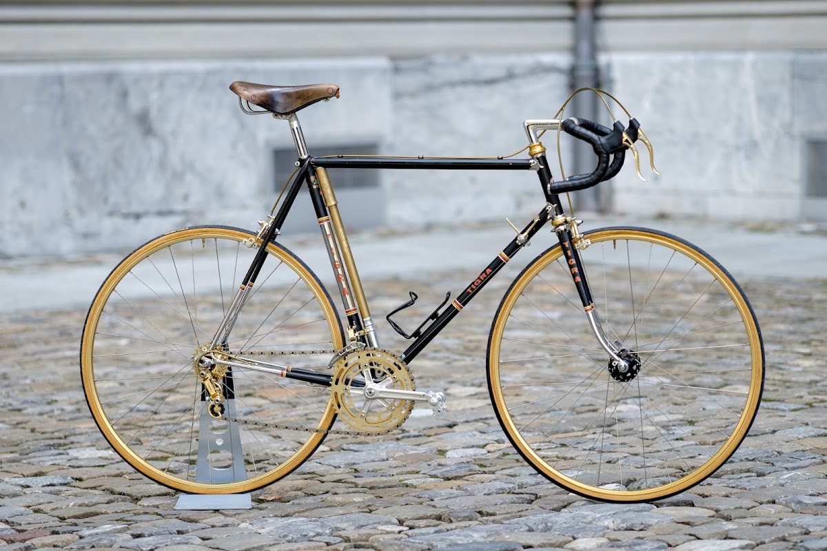 Tigra_Oro-8.jpg