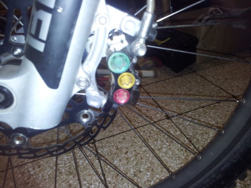 2011-10-08190541.jpg