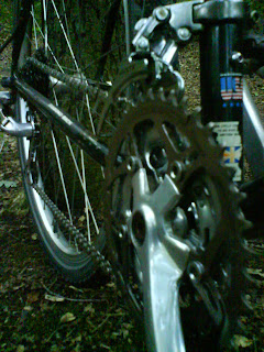 Diamondback003.JPG
