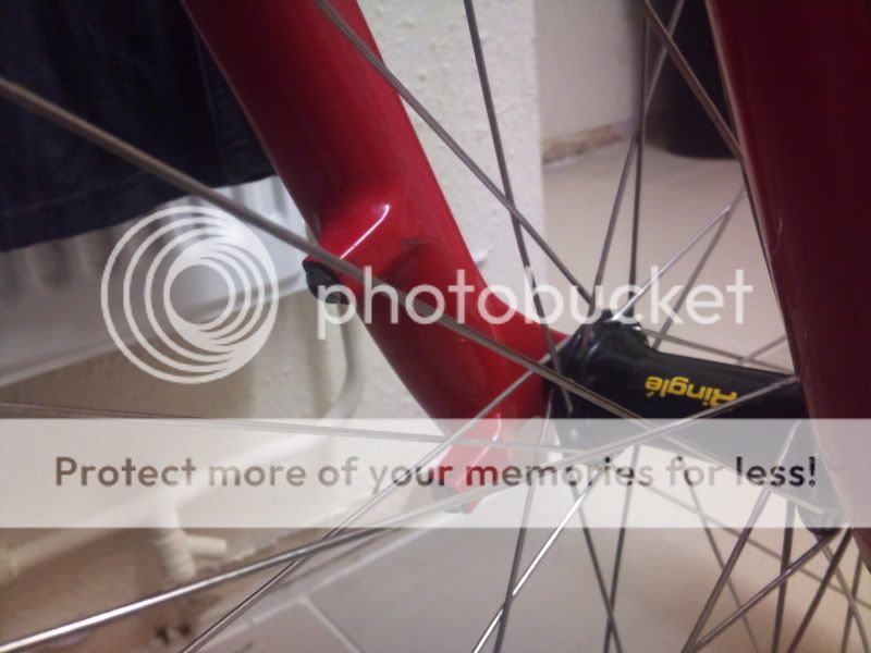 2011-12-20220218.jpg