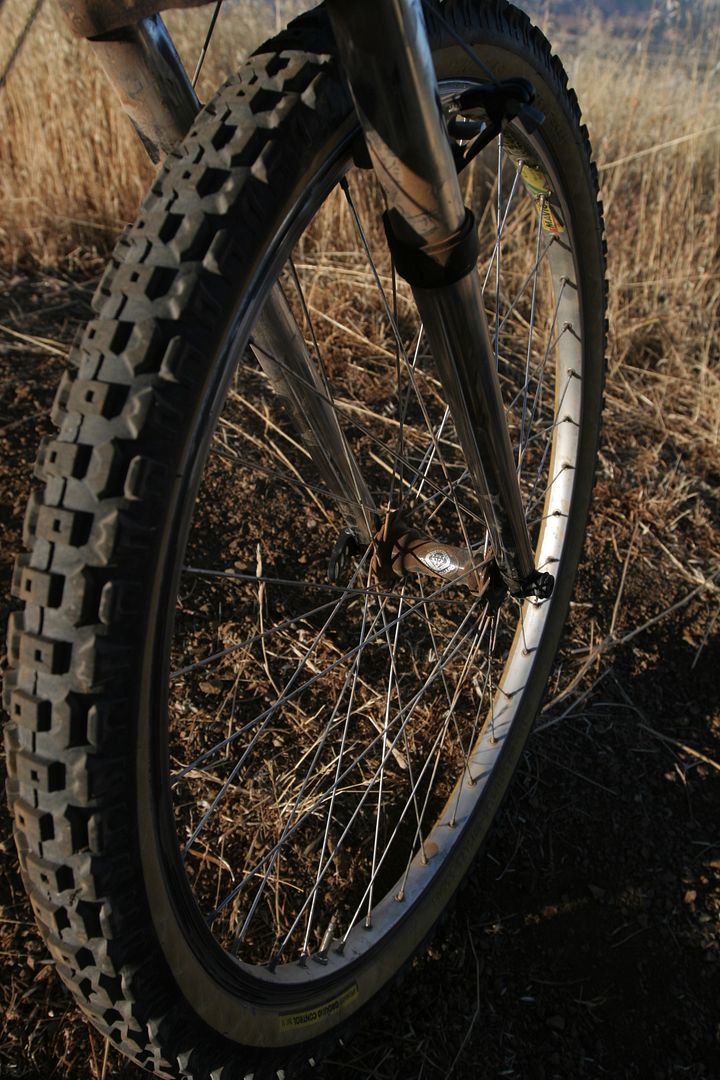 torrosalsaride153-1.jpg