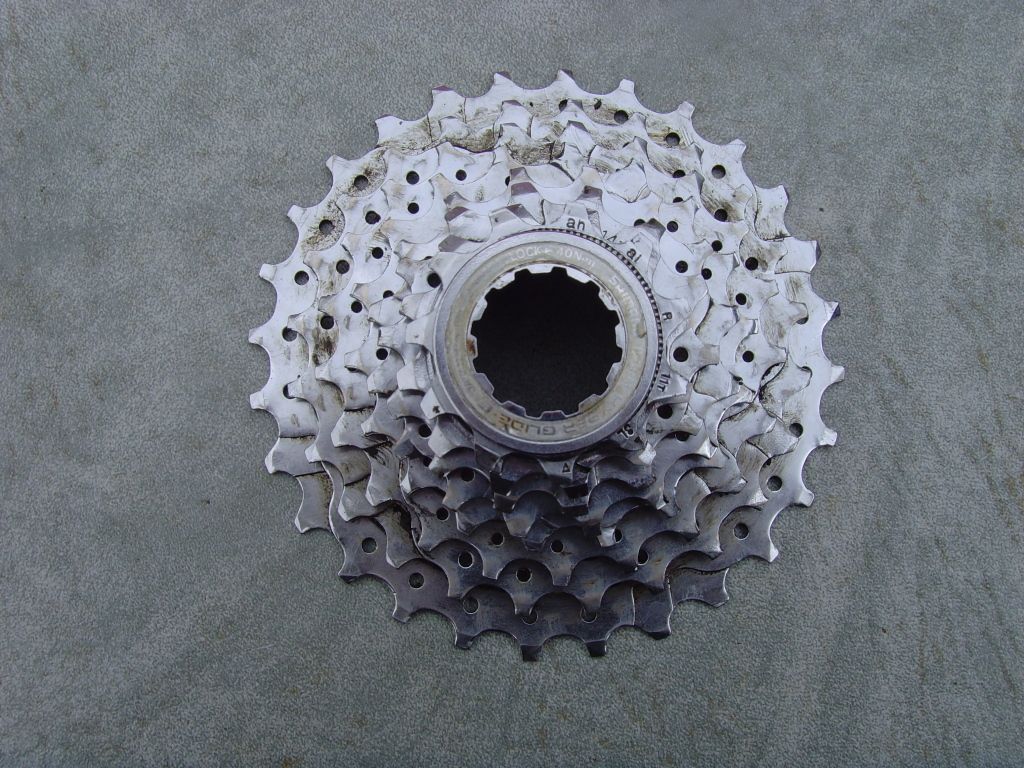 SNV36722.jpg