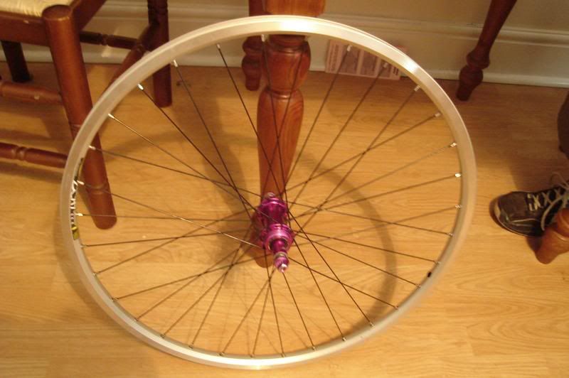 ringlerearwhl.jpg