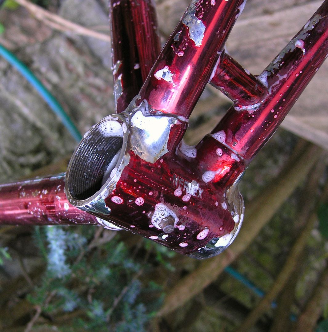 P6141196_zps41d93e6f.jpg