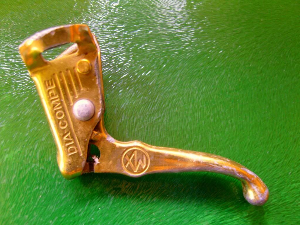 SNC17957.jpg