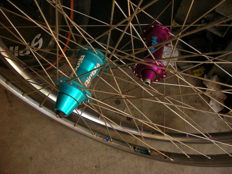 DSCN1063.jpg