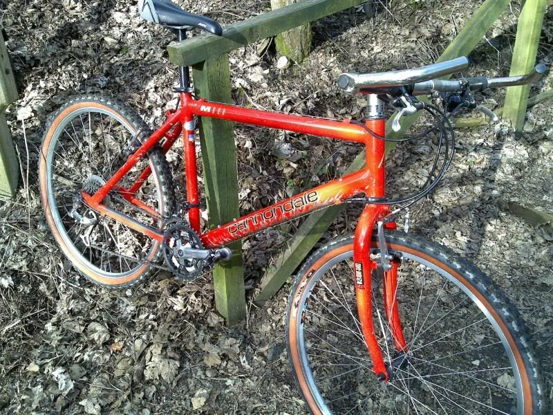13032010516.jpg