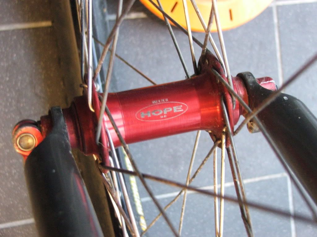 DSCF9340-1.jpg