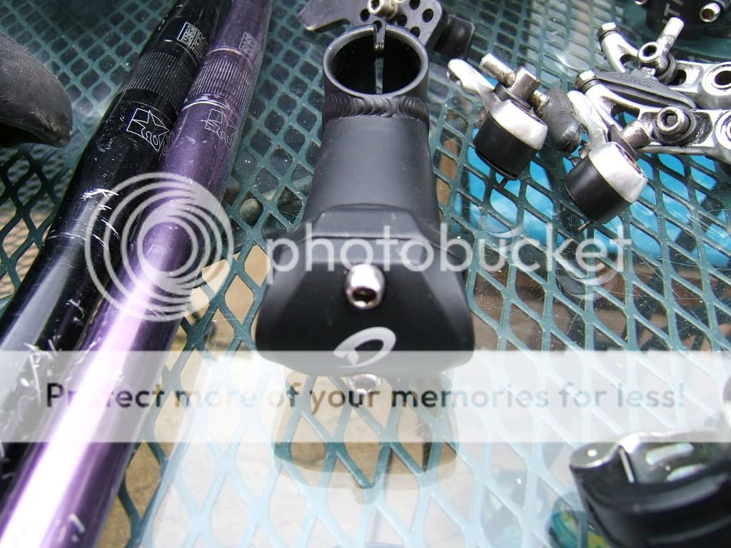 DSCF1272.jpg