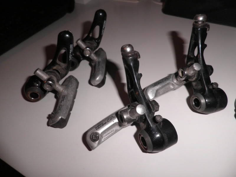 P1010166.jpg