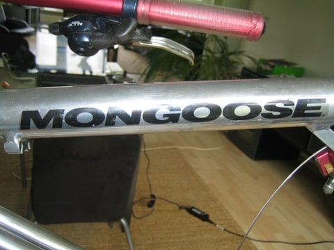 Foto-CEO8BFGG.jpg