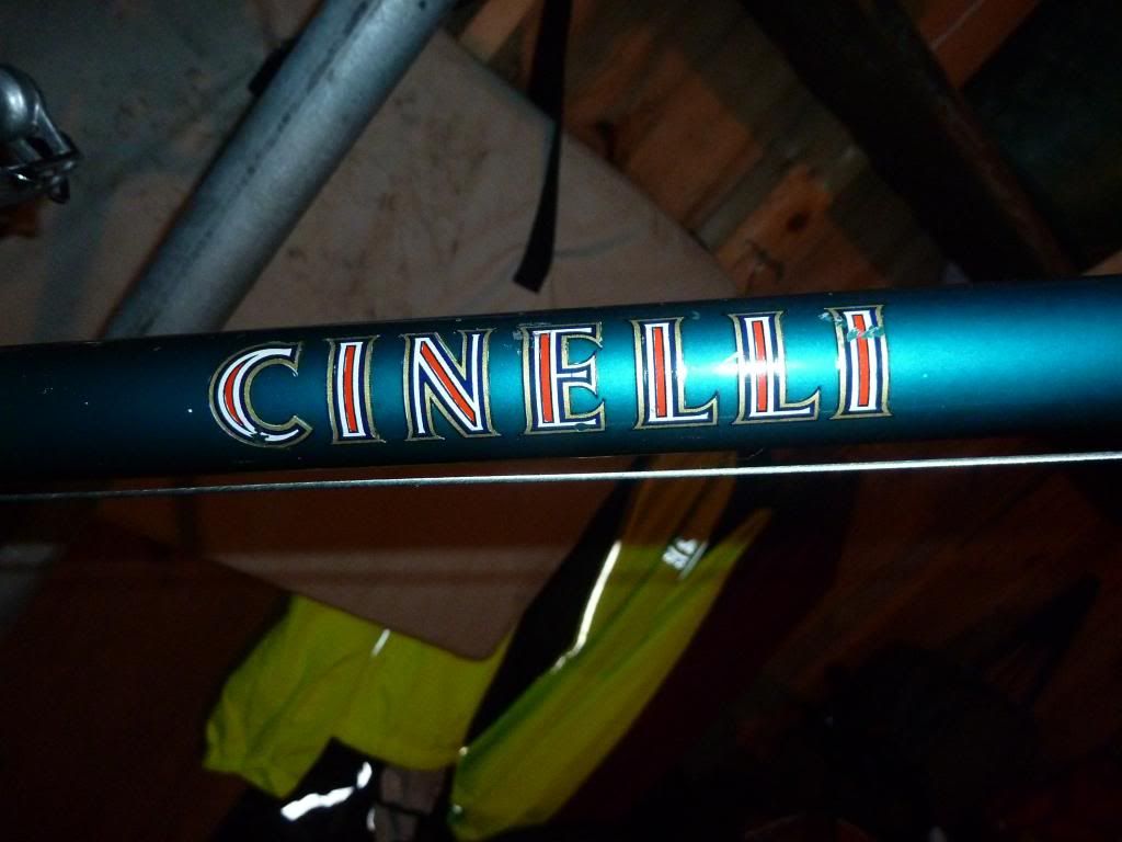 cinellimodelb017.jpg