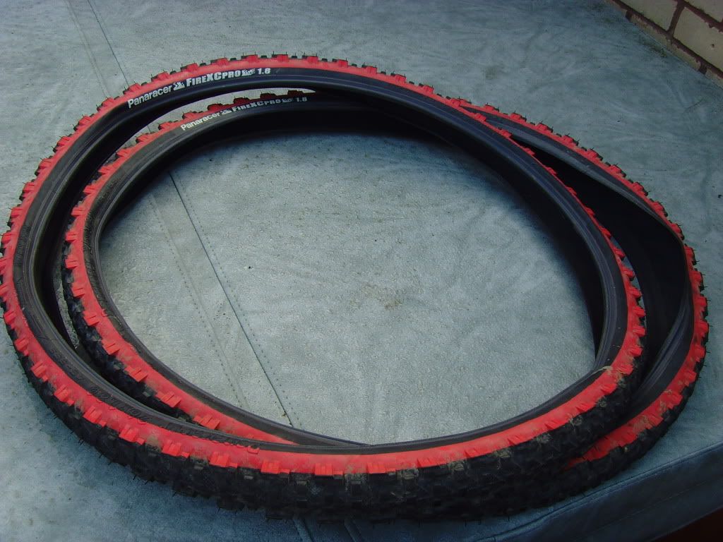 SNV36317.jpg