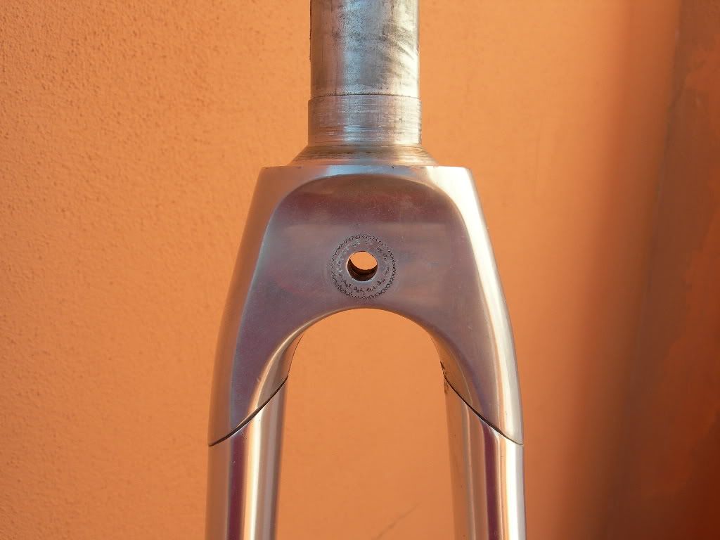 DSCN8153.jpg