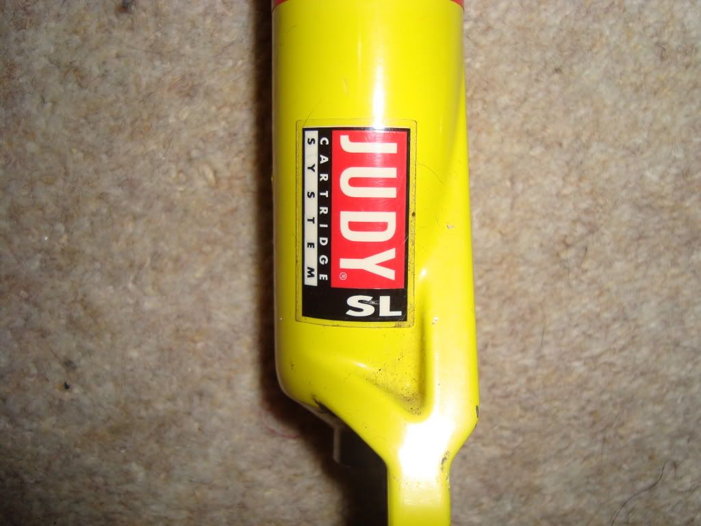Adambike023-1.jpg