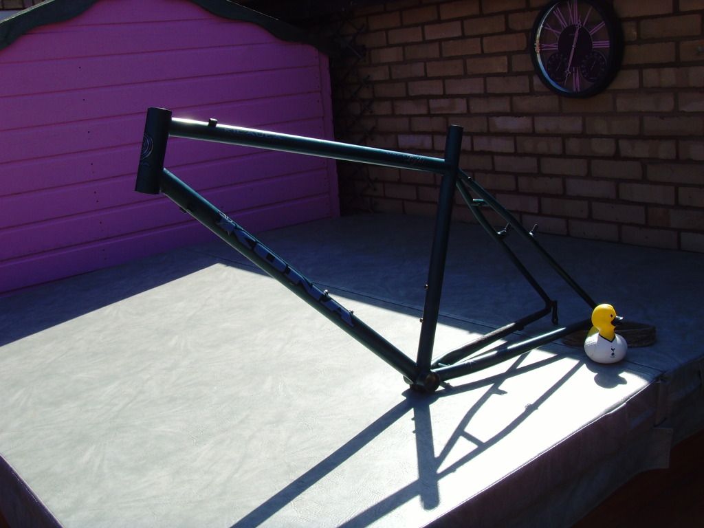 SNV36930.jpg