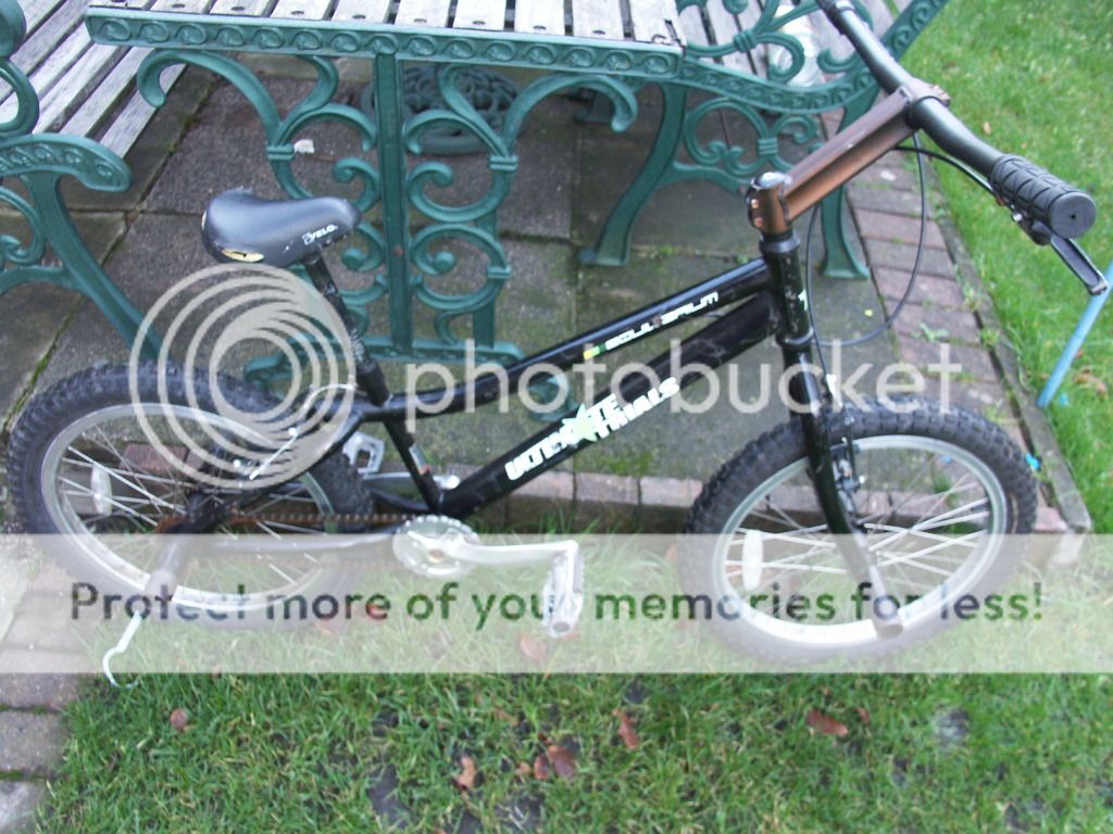 bikesandporsche030.jpg