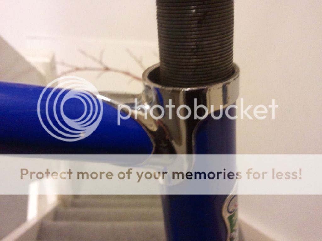 2012-11-29075301.jpg