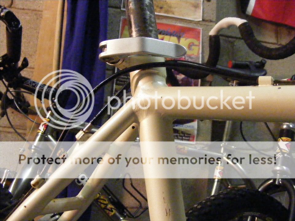2011_0110gitane0007.jpg