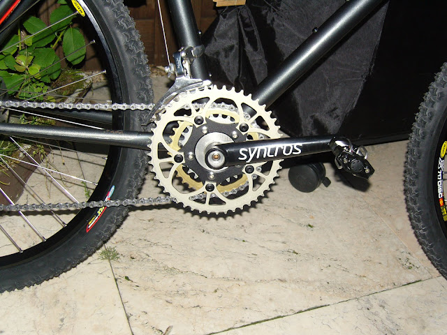 SNC10339.JPG